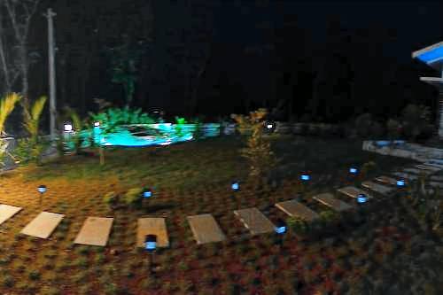 foto2