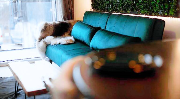 Rental apartment with 1 room for 3 persons in Winterberg