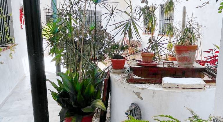 Holiday apartment | Close to Alcázar of Jerez de la Frontera | Pets are welcome — photo 3