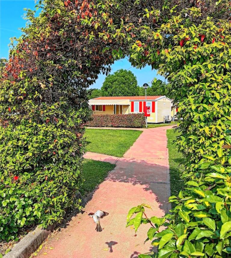 Mobilheim Moniga del Garda