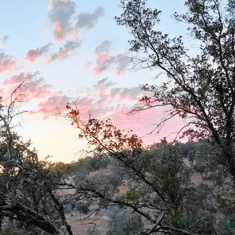 Resort  Mokelumne Hill