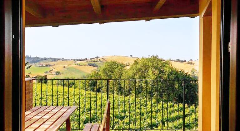 Child-friendly farm with patio, pool & garden | Dogs allowed — photo 4