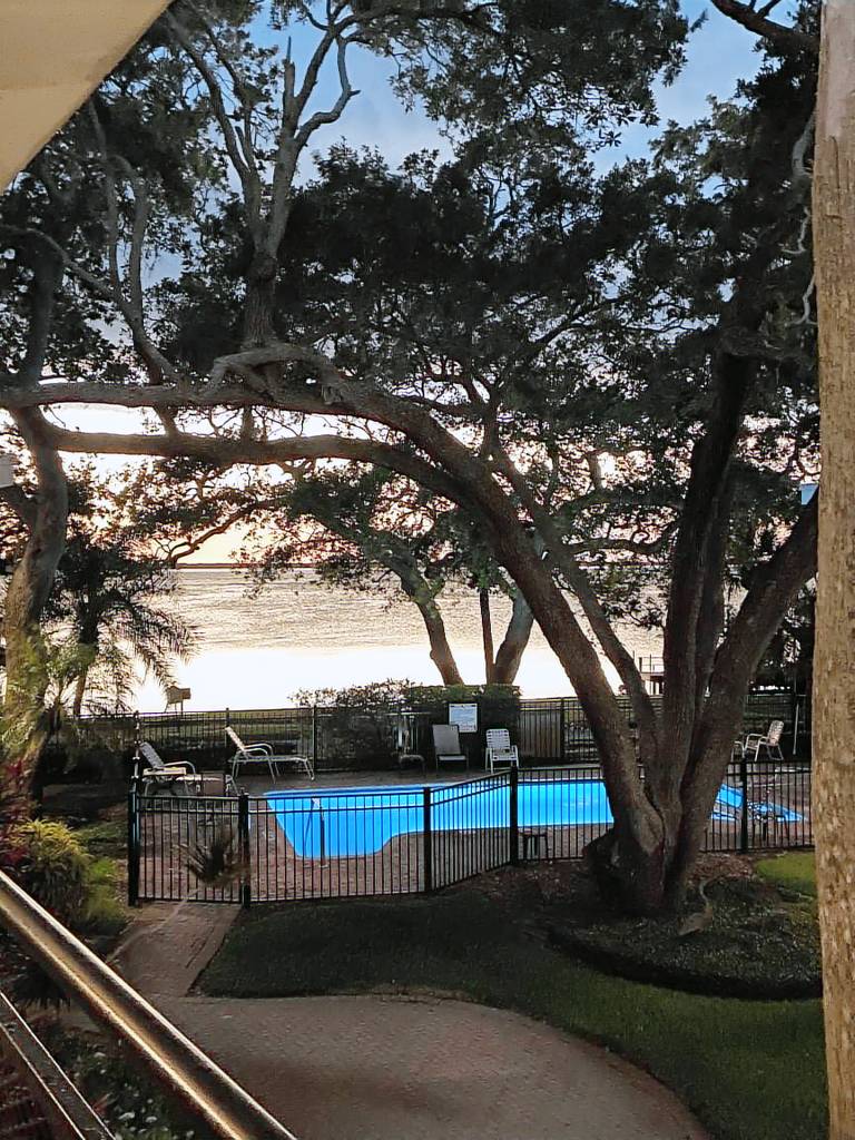 Condo Dunedin