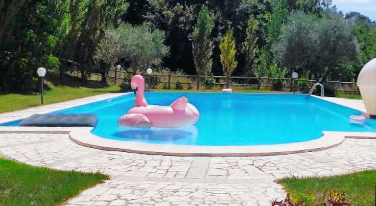 Lodge with terrace, garden & pool — photo 4