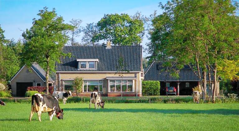 Appartement Hoornsterzwaag landelijk gelegen