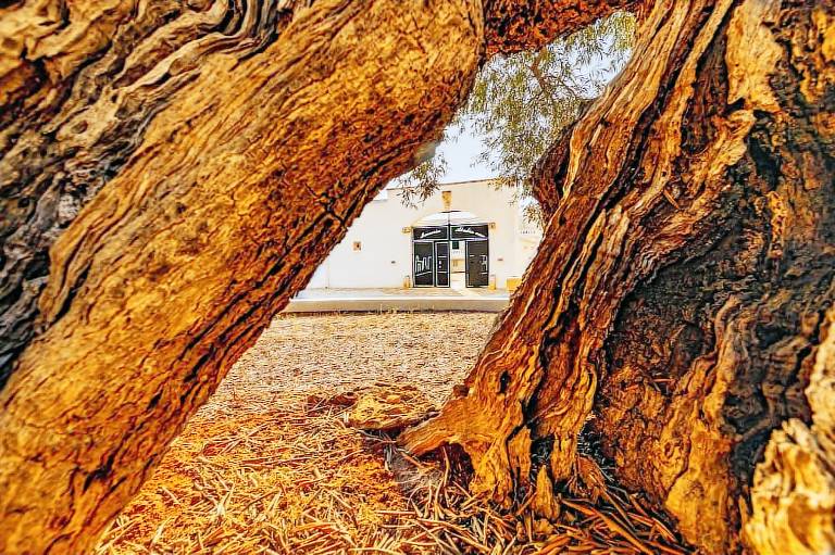 Pensione  Ostuni