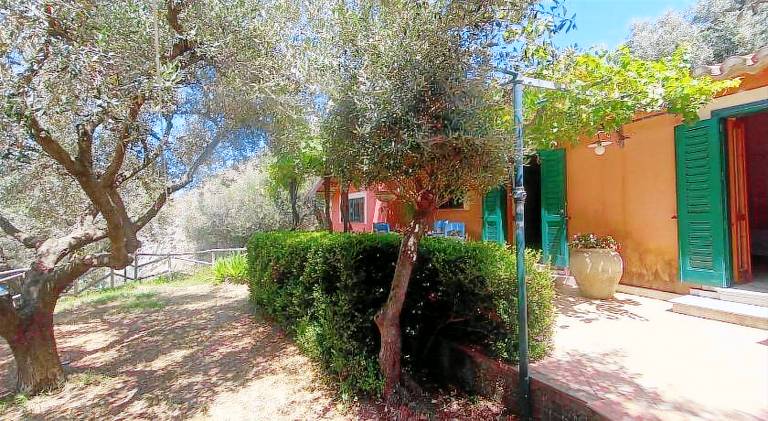 Spacious villa | Pets are welcome — photo 5