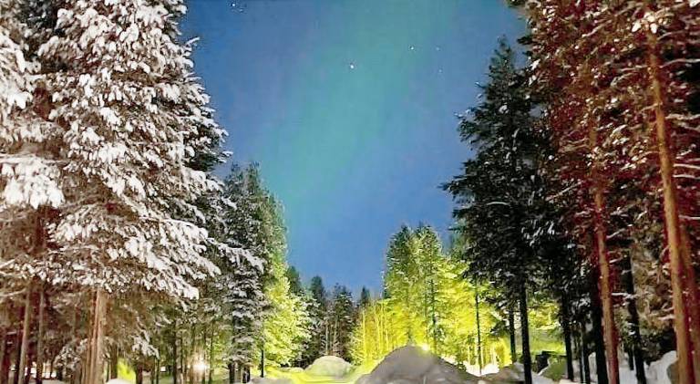 Chalet with 1 room for 8 persons — photo 4