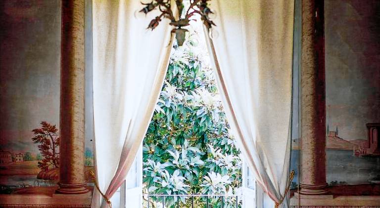 Buonvisi B&B — photo 5