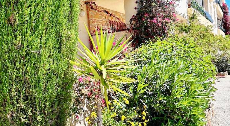 Charming holiday apartment | Pet-friendly — photo 3