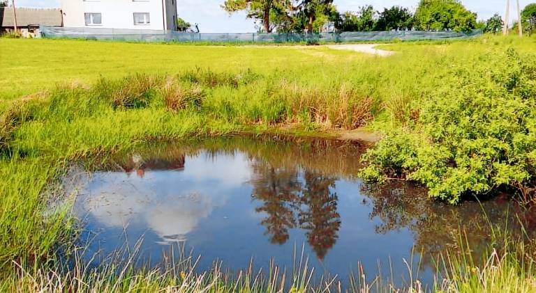 Bed & Breakfast Bieszkowice