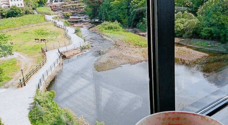 foto2