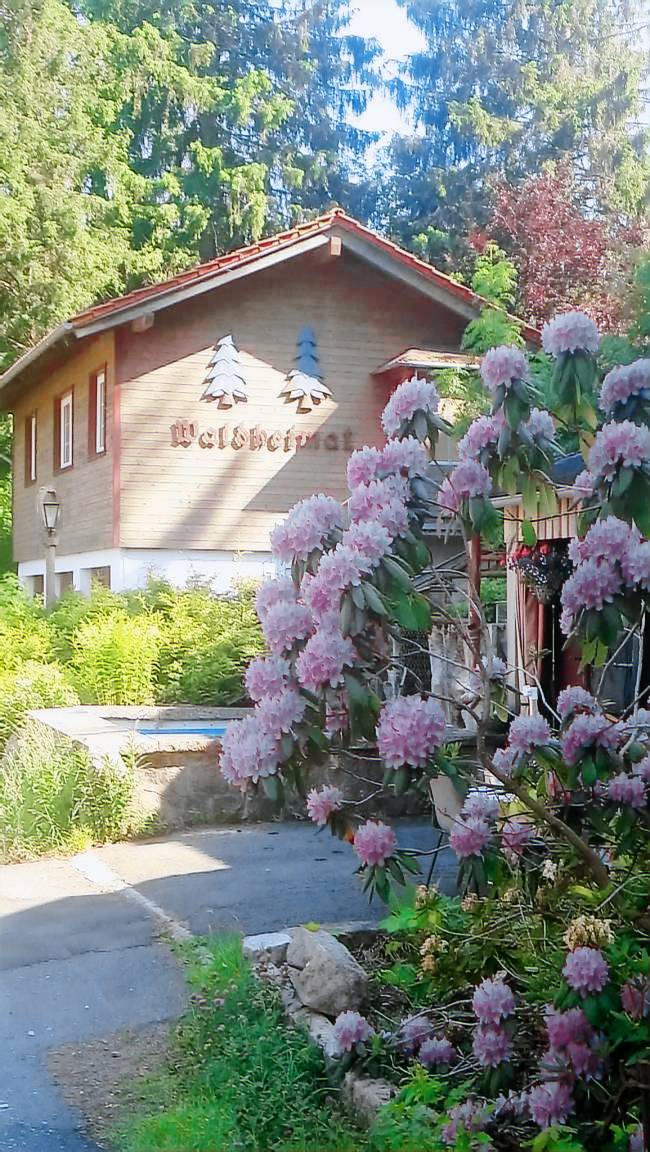 Ferienhaus Wernigerode