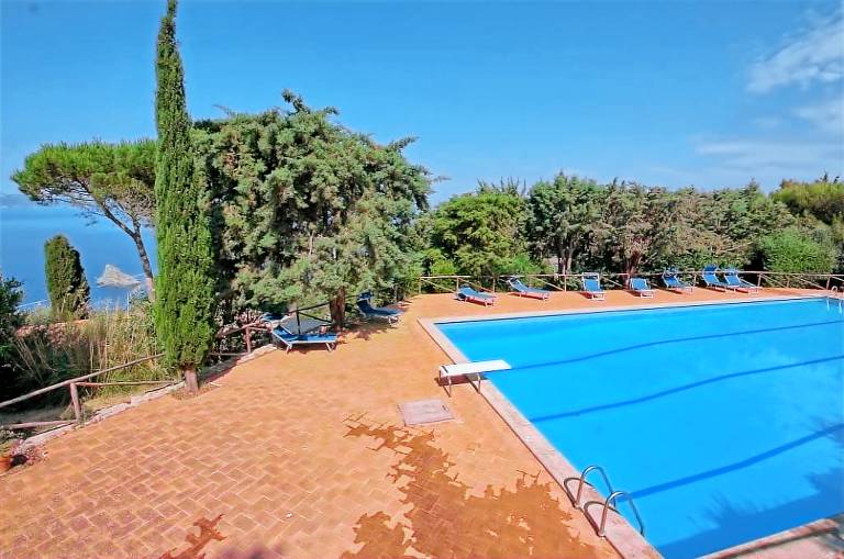 Rental apartment with pool & yard — photo 5