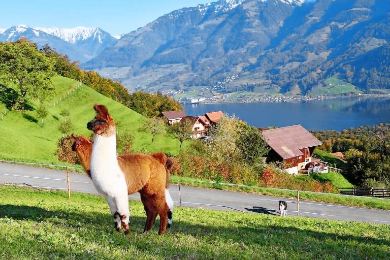 Bauernhof Sarnen