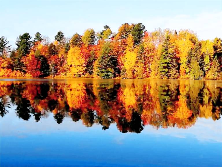 Cottage Lac-Simon