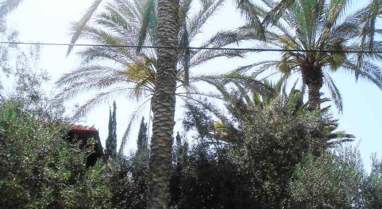 Farmhouse Rishon LeTsiyon