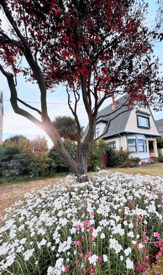 House Eureka
