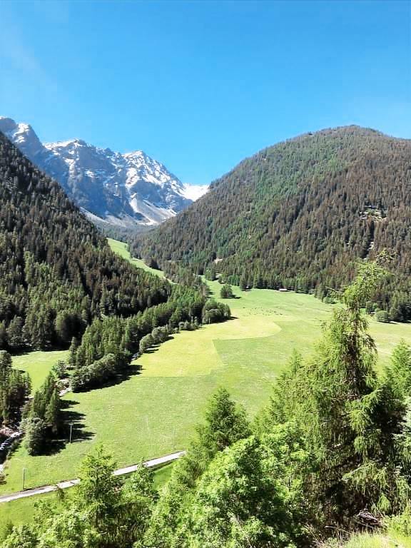 foto2