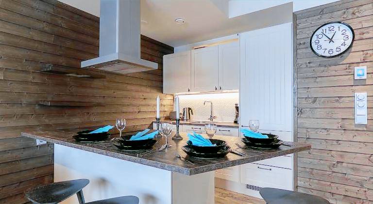 Wonderful serviced apartment with sauna & patio | Close to the ski | Pets are welcome — photo 4