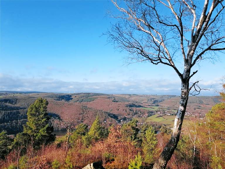 foto2