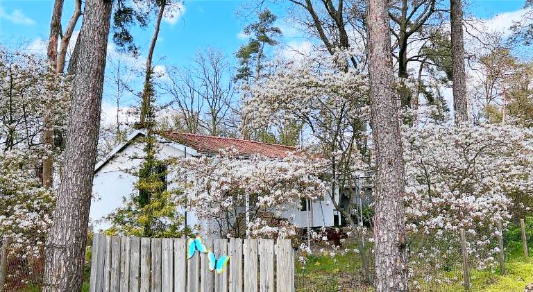 60 m² Chalet