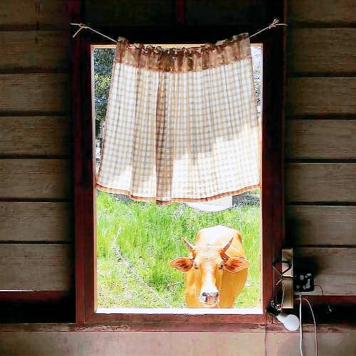 Ferienhaus  Ko Yao Noi