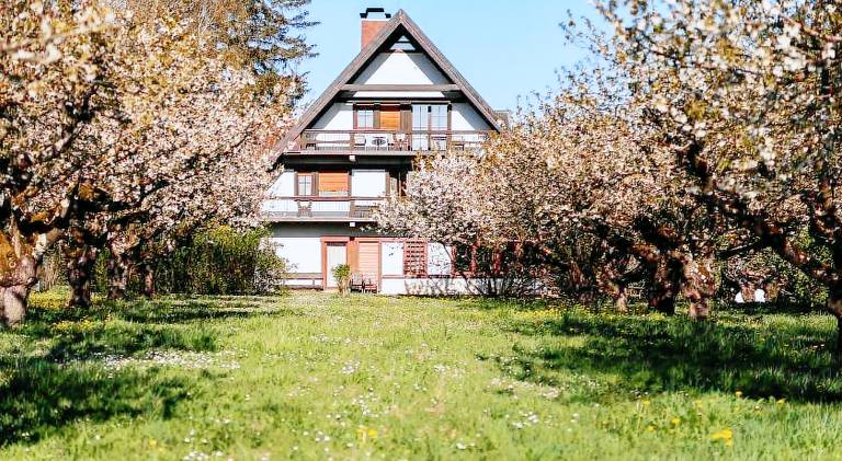 Bed & Breakfast  Bötzingen