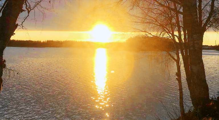 E-City B&B — photo 3