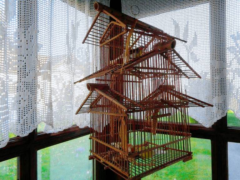 foto2