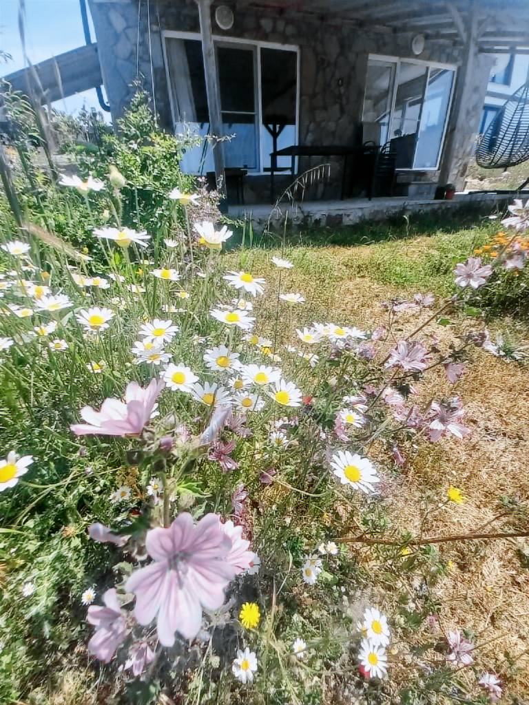 Vacation home with garden, barbecue & pool | Good for workation — photo 4