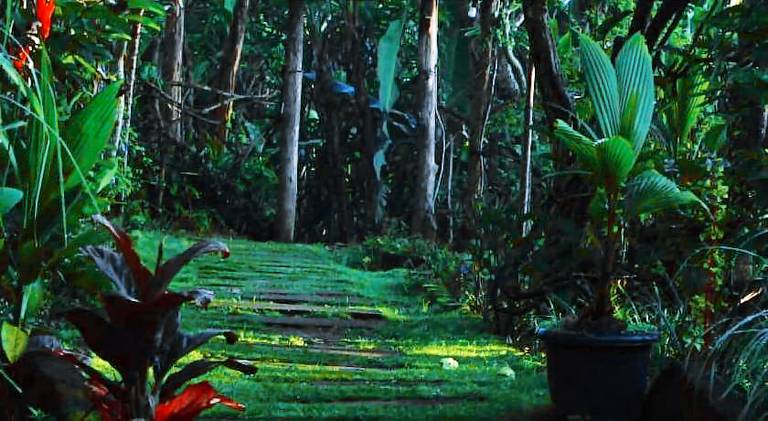 Bucu hidden guest house, and meditation center in Tegallalang