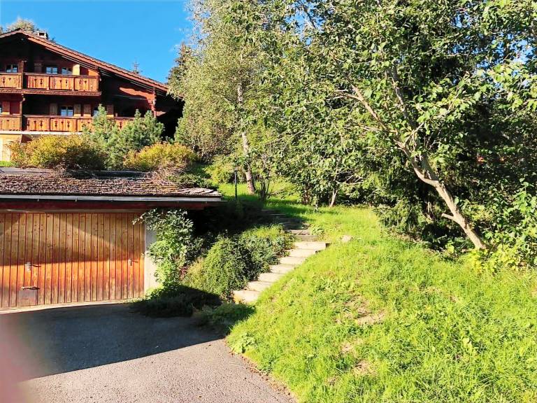 Chalet Les Diablerets