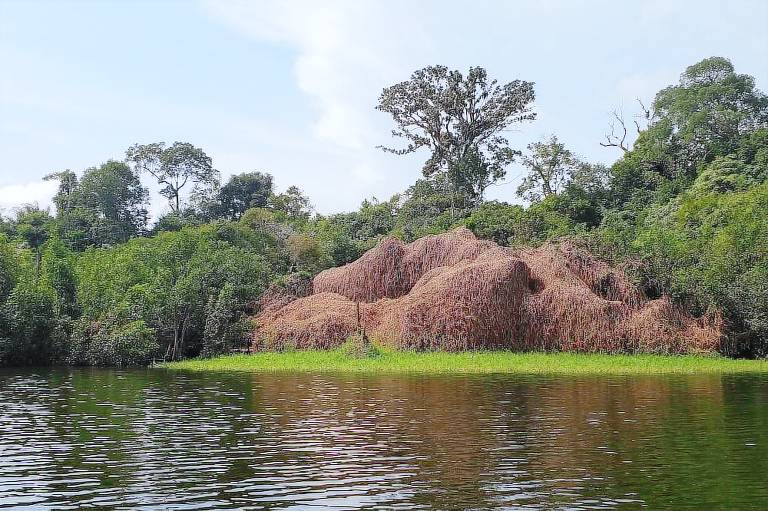 Cabana Careiro