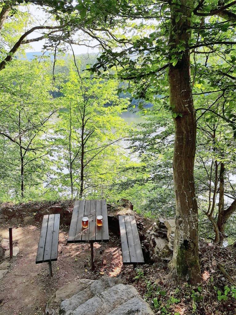 Vacation home with barbecue & yard — photo 4