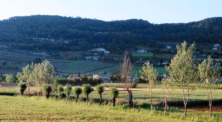 foto6