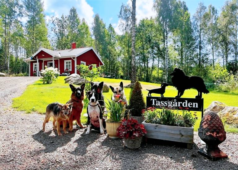 Paws of Idhult – Dog Friendly Holiday Home with Fenced Garden in Småland — photo 2