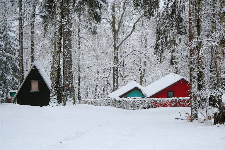 Ferienhaus Ringethal