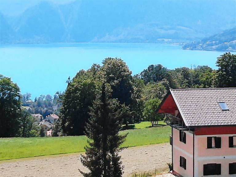 Ferienwohnung mit Hund inSteinbach am Attersee, Österreich  f&uuml;r max. 4 Personen