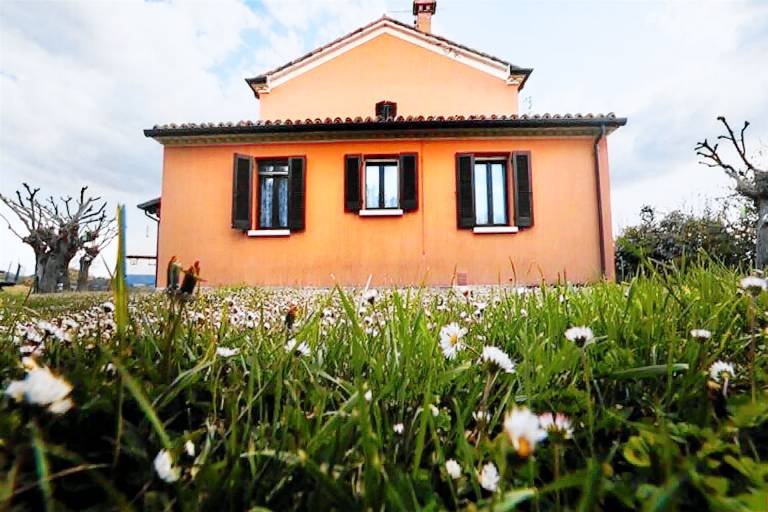 Apartment  Urbania