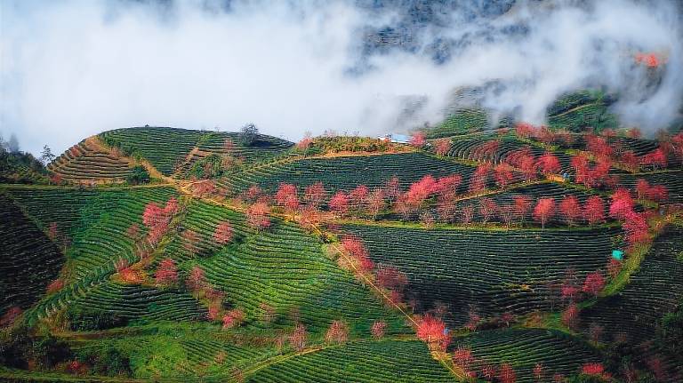 Sapa Dao Homestay — photo 4