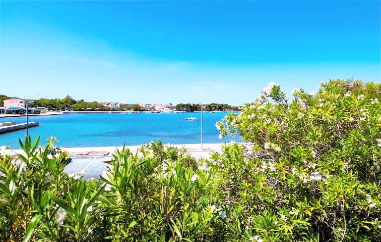 House Oleander for 5 persons - near the sea — photo 3