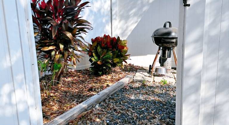 Palm Paradise Retreat