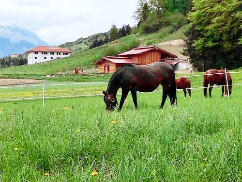 Agriturismo Comano Terme