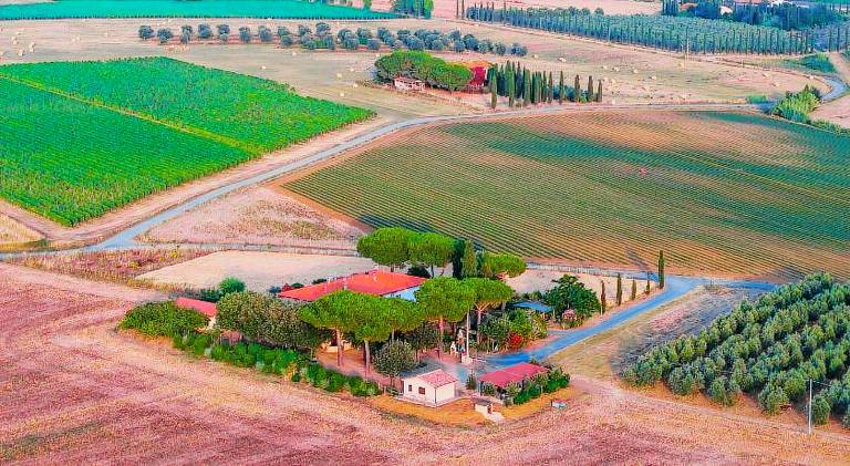 Agriturismo I Debbi in Bibbona