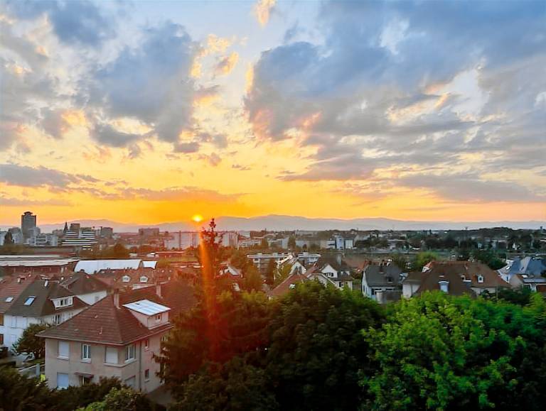 Appartement  Mulhouse