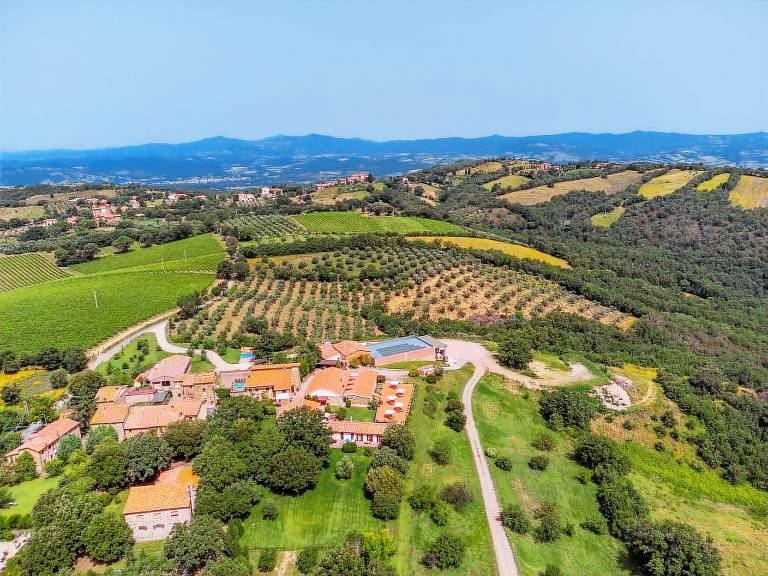 foto4