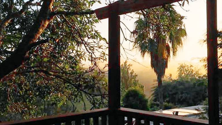 Cabin Bellingen