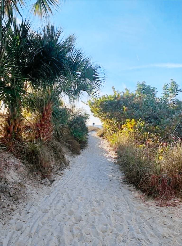 House Siesta Key