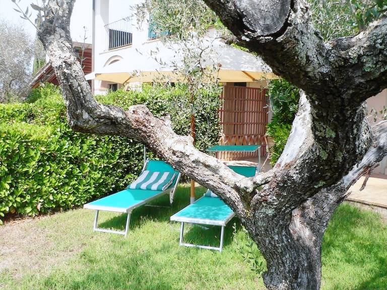 Apartment  Vetulonia